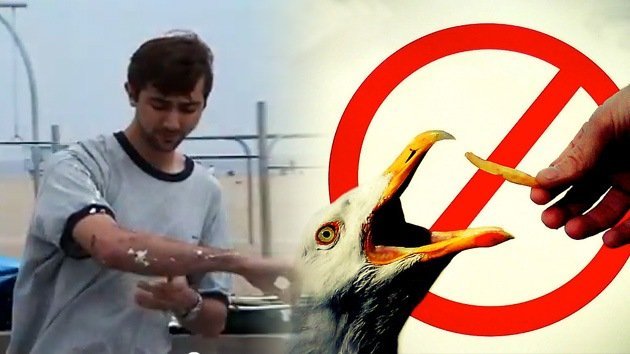 VIDEO: Broma con laxante para gaviotas deja a los veraneantes hasta arriba de ‘suerte’