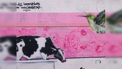 Grafiteros de todo el mundo, uníos... en San Petersburgo