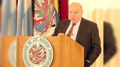 OEA: 38 millones de jóvenes latinoamericanos corren el riesgo de caer en la criminalidad