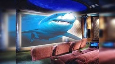 Disney y Discovery lanzan una televisión en 3D