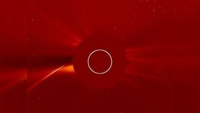 El 'cometa kamikaze'
