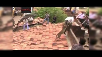 Un leopardo en los tejados desata el pánico en la India