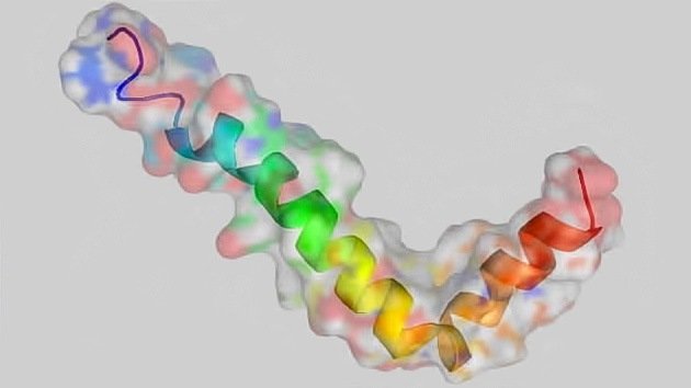 Diseñan una nueva molécula para el tratamiento del mal de Alzheimer