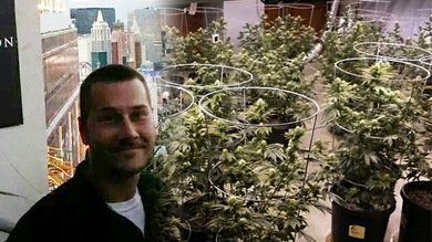 Arrestan a un vendedor de marihuana que se anunció durante tres años en YouTube