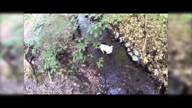 Mi GoPro no hace milagros: la misma vida aburrida de siempre