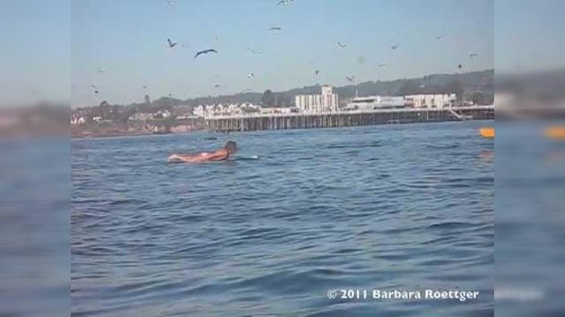 La ballena que casi 'pesca' a una surfista