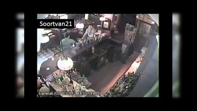 Por qué no deben llevar animales al bar