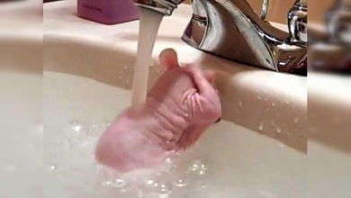 Rata Bañandose