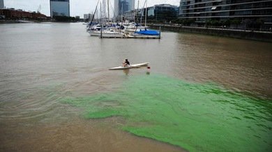 Extrañas manchas fluorescentes tiñen las aguas de un puerto argentino