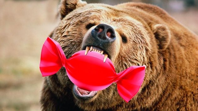 Video: Un oso goloso asalta una chocolatería