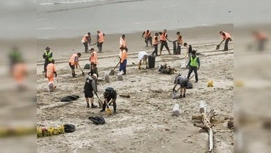Nueva Zelanda enfrenta la peor catástrofe ecológica en su historia