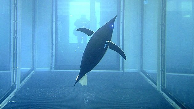 La Marina de EE.UU. retira a los delfines de desminado en favor de robots