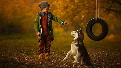 ¿Qué pasa por la cabeza de un perro?