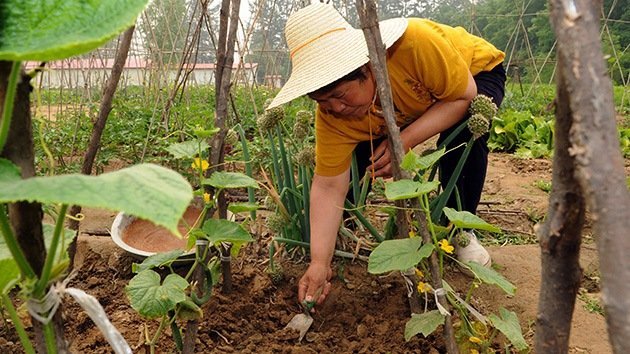 Más de 3 millones de hectáreas de tierra en China están contaminadas
