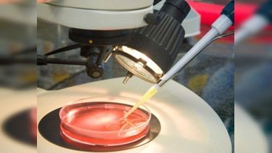 Científicos españoles neutralizan un tipo de cáncer infantil