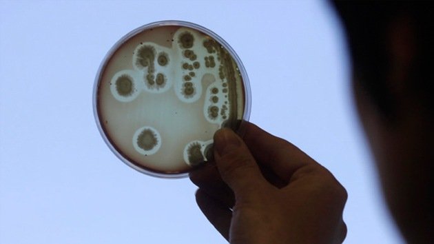 Alternativa a combustibles fósiles: Científicos logran emitir propano mediante E.coli