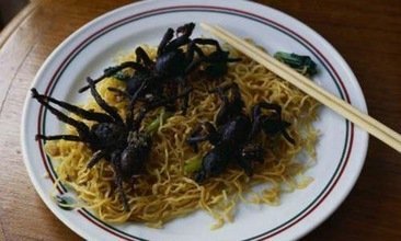 Platos con insectos para chuparse los dedos