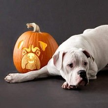 Halloween: nuevas ideas para la decoración