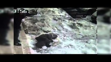 Un desprendimiento de nieve tumba a una mujer