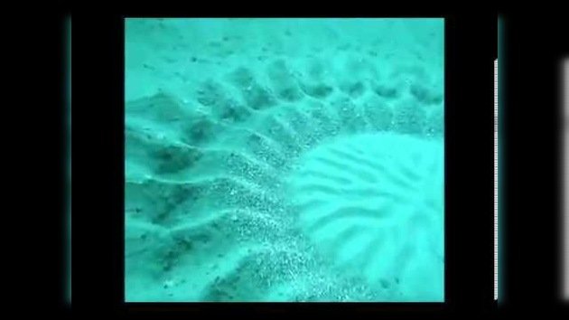 Sale a flote el enigma de una extraña formación circular en el fondo marino