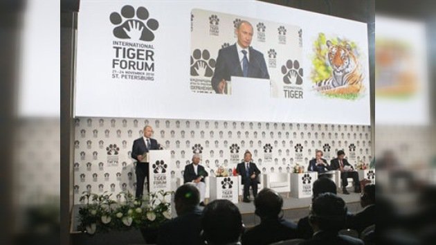 La Cumbre del Tigre en San Petersburgo recauda 380 millones de dólares