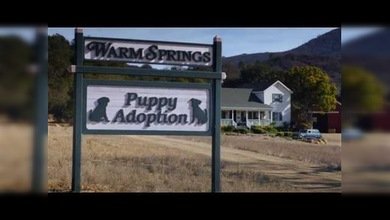 La publicidad de la Super Bowl que conmovió YouTube
