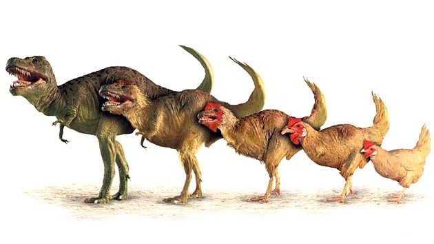 ¿Parque Jurásico contemporáneo?: Un 'pollosaurio' aparecería en cinco años