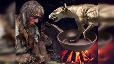 El mejor amigo del hombre, domesticado para ser comido