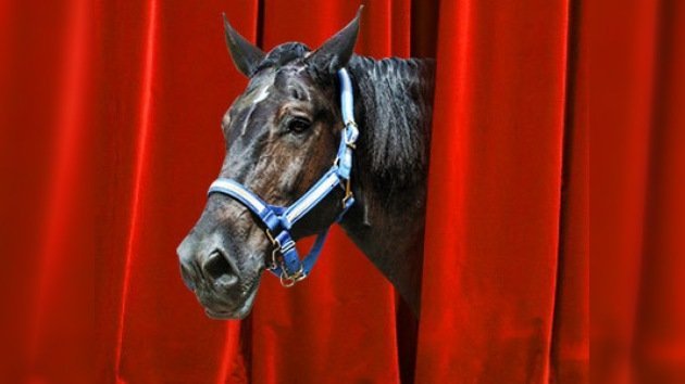 Vuelve a funcionar el único teatro de caballos en Rusia
