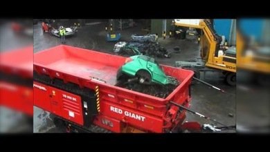 La pesadilla de cualquier auto: Una trituradora gigante destruye un coche en un parpadeo