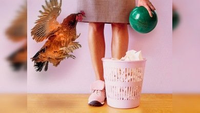 Jefe, no me va a creer, pero...