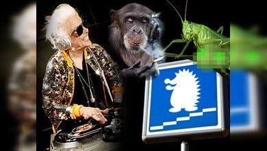 ¡Viva la vida loca! 