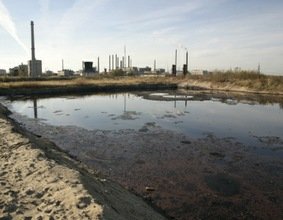 Greenpeace: Rusia está al borde de una catástrofe ecológica