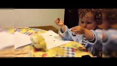“La que ha liado el pollito”, el vídeo tierno de la semana