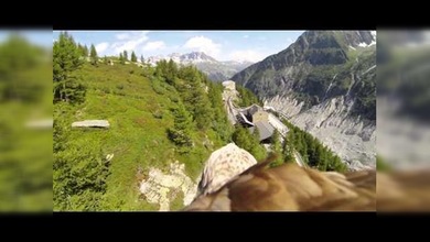 Así se ve nuestro mundo desde la perspectiva de un águila