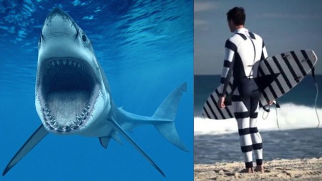 Australia: Diseñan un traje para buzos y surfistas que se le 'atraganta' a los tiburones