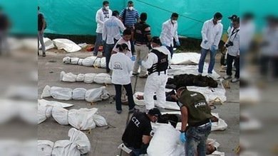 Autoridades colombianas informan de la muerte del jefe de FARC en bombardeo