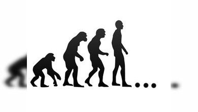 Evolución imparable: los hombres son cada vez más atractivos para las mujeres