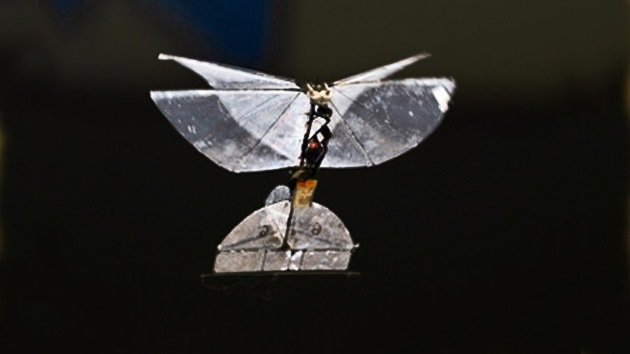 La mariposa-espía de Israel, una auténtica revolución en el mundo de los drones