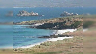 El fraude petrolero de las Malvinas