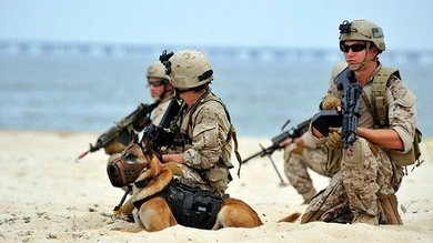 Un estadounidense se hace pasar por el asesino de Bin Laden y recauda 850.000 dólares