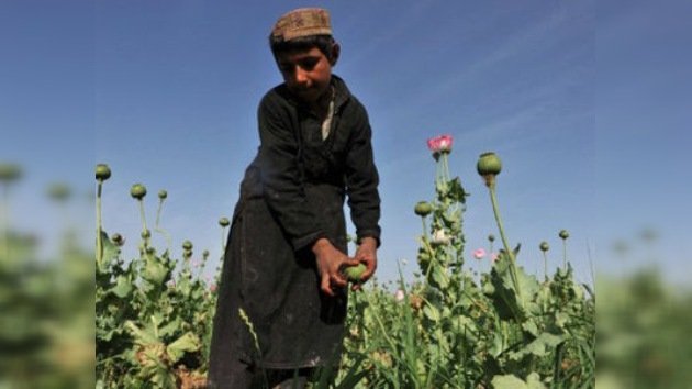 La OTAN contra el opio afgano: ¿una batalla perdida?