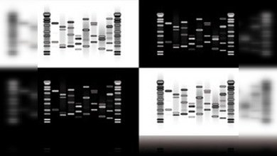 Un nuevo regalo de lujo para los narcisistas: una foto de su ADN