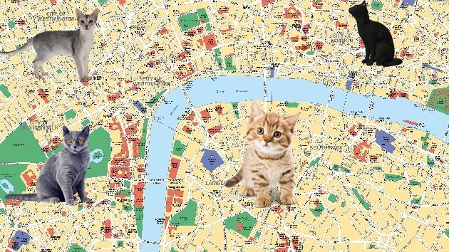 El zoológico de Londres crea un mapa interactivo de los gatos de la ciudad