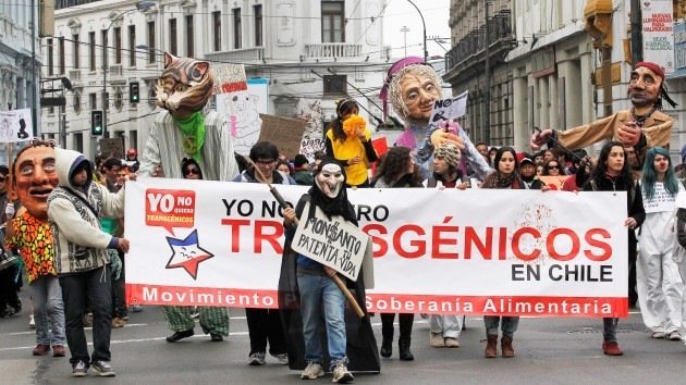 El Gobierno chileno retira la tramitación de la polémica 'Ley Monsanto'