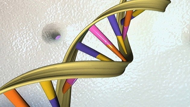 Estudio del ADN: Solo 8,2% del genoma humano es "funcional"