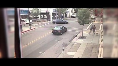 Un perro guía salva a dos personas de ser atropelladas