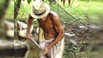 Venezuela organiza milicias campesinas