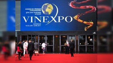 Presentan en Burdeos la mayor exposición de vinos