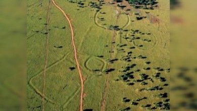 Descubren restos de civilización desconocida en el Amazonas